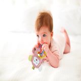 Babyjem-Little-Monkey-Toy-Pink-gallery-image-1.jpg