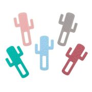 Minikoioi Cactus – Aqua Green